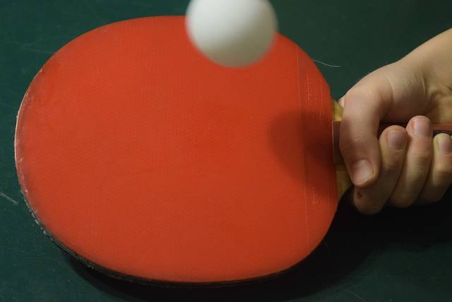 卓球のバット テーブル テニス スポーツ · Pixabayの無料写真 (33228)