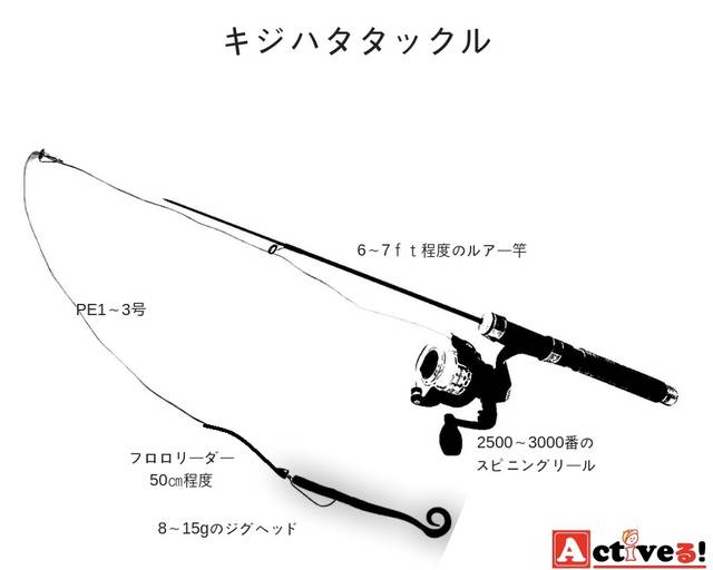 キジハタ アコウ の釣り方とは おすすめしたい仕掛けやタックル Activel