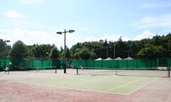 大田区ホームページ：平和の森公園テニスコート (161466)