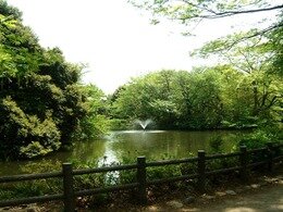この公園について｜和田堀公園｜公園へ行こう！ (163648)