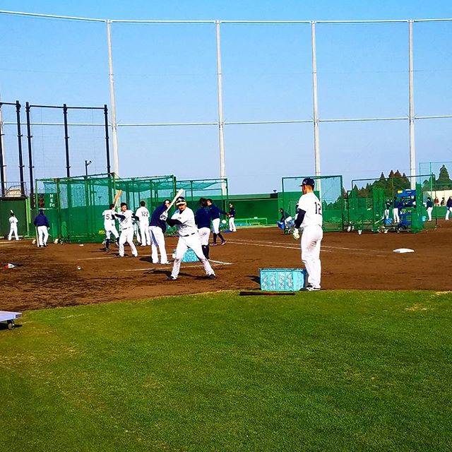 Yuichiro Hayashi on Instagram: “ロングティー💡 計10ヶ所で同時に行います!!!外野に次々ととんでいく打球は見てて清々しい😌終わった後の整備が多くて大変なのはここだけの話、、、(笑)選手も手伝ってくれますありがとうございますm(_ _)m…” (25211)