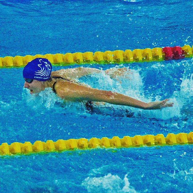 Karen Porter on Instagram: “Fly#swimming #butterflystroke #stockportmetro #racing #swimmeet #swimmer” (26958)