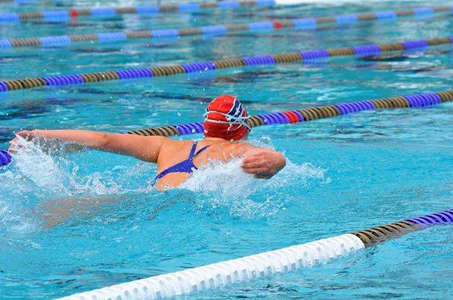 Jordan Thomason on Instagram: “" let's get a little bit faster  F-A-S-TER "#swimming #actionpicture #butterflystroke #jtphotography #blissfulimages #swimseason” (26962)