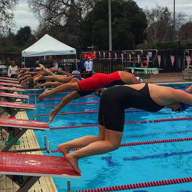 @swimfin on Instagram: “The Start#mastersswimming#theolympicclub#rinconadamastersmeet#swimmingstart#rinconadapool#swimmeet#paloalto” (36270)