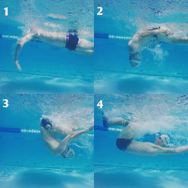 Chad Castillo, Swim Coach 🏊さんはInstagramを利用しています:「💥Freestyle and Backstroke TURNS💥 - Hate them or love them, if you train in a pool you have to negotiate turns. - If you are going to…」 (36716)
