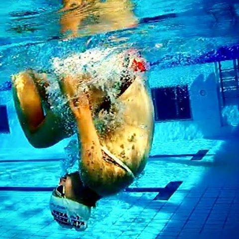Sarah W.さんはInstagramを利用しています:「Can't wait to be back on the lane! t-4d . . . #runnerswimming #flipturn #swimbikerun #pooltime #intotheblue #swimlove #alldayeveryday…」 (36723)