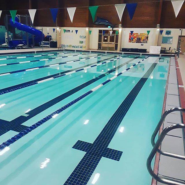 PatrickさんはInstagramを利用しています:「Back at the pool early in the AM. Im finally starting to see some progress which is exciting. Now if I can just master the flip turn I will…」 (36727)
