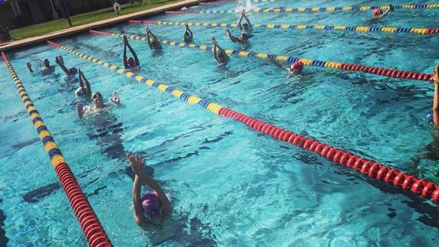 The Race ClubさんはInstagramを利用しています:「Let's dance ! #dolphinkick #fifthstroke #verticalkicking #trcswimcamp #workyourkick #swimmingtechnique」 (36805)
