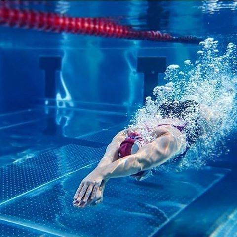 Love SwimmingさんはInstagramを利用しています:「📷: @sofiademnert ☆  Follow us for more!😉: @swimming.world.lover Double Tap & Tag a Friend ⤵ 👍 * Reposted from @swim_olymp #swimming #swim…」 (37944)
