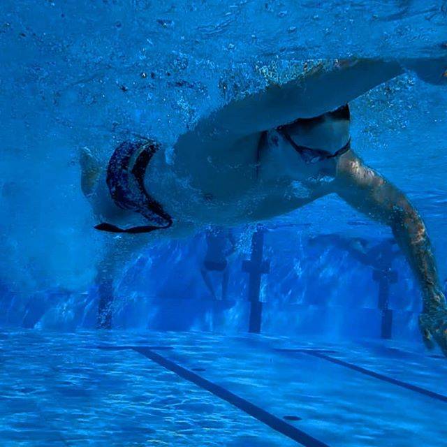 Milda BoháčさんはInstagramを利用しています:「#water #swimming #underwater #swimmer #freestyleswimming #swimmingpool #watersport #pool #summer #swimming #swim #swimmer #swimwear…」 (41565)