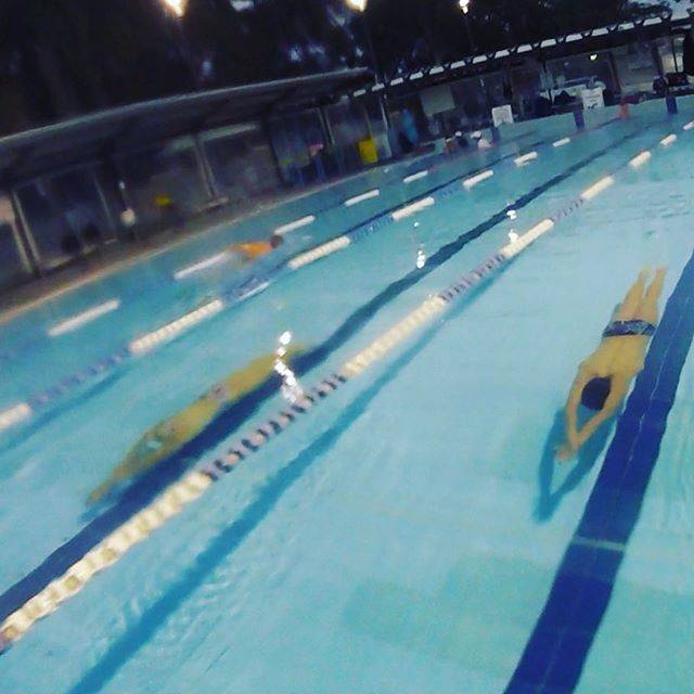 Neilson Swim SchoolさんはInstagramを利用しています:「Working hard on the 5th Stroke. Underwater fly kick critical to fast swimming!!! Every wall is an opportunity to work on your streamlines.…」 (41692)