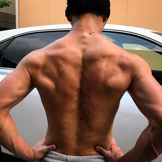 @dobby.workout - Instagram:「workout #広背筋 #筋トレ #ウエイトトレーニング #workout #自重トレーニング」 (48163)