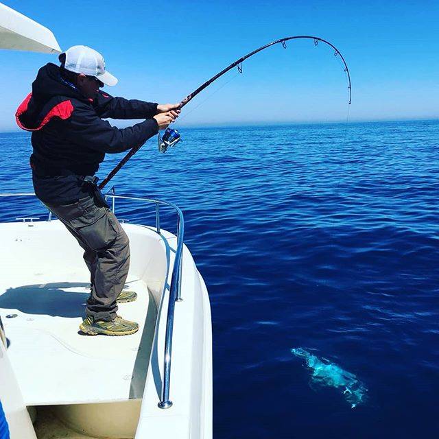 Vainer Mazzoni on Instagram: “When you see silver.... 😍😍😍 . . . . . #teamfassa #biggamefishing #thewaterismystadium #angleraproved #gamakatsuitalia #sprofishing…” (64050)
