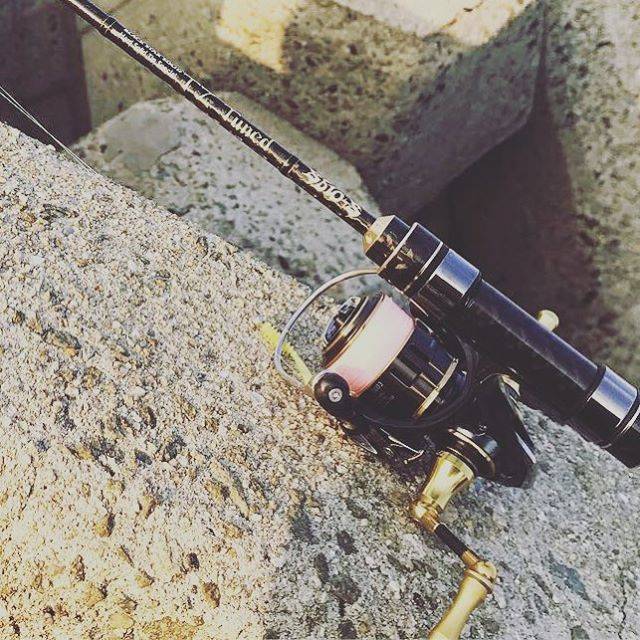 Lill Maui on Instagram: “OH行ってらっしゃーい！#daiwa #アジング #釣り好きな人と繋がりたい #17セオリー1003 #釣り” (66653)