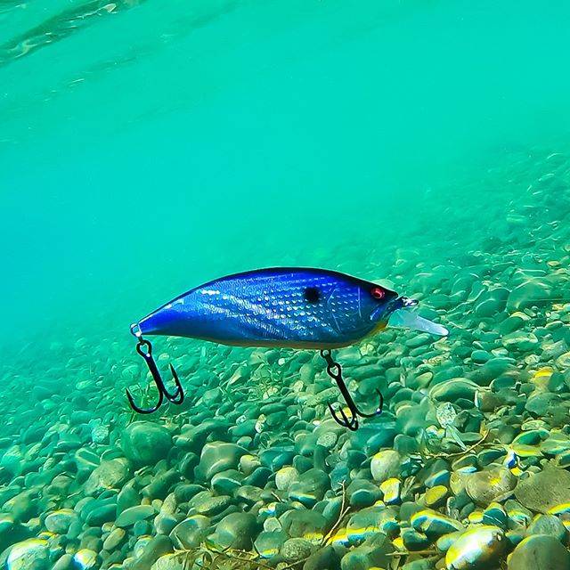 Megabass Inc. on Instagram: “Underwater test of BIG-M 4.0 (Test color).…” (73269)