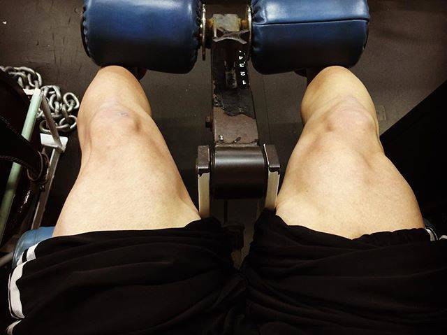 t@ku0420 on Instagram: “大腿四頭筋。右の方が調子いい(笑)#トレーニング#足トレ#レッグエクステンション#レッグプレス#大腿四頭筋#パンパン#マッスル#マッチョ#減量中#体重管理 #停滞中” (74440)