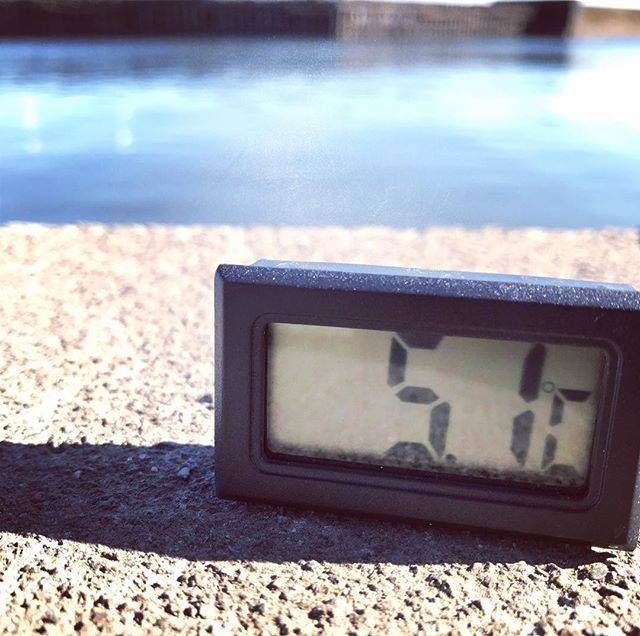 カスブラ on Instagram: “霞ヶ浦東岸 13時ここ最近は本当に寒い。火曜からどんな変化があるか気になります。#バス釣り  #霞ヶ浦  #北浦  #霞ヶ浦水系#オカッパリ #bassfishing  #冬バス釣り #春バス釣り#ワカサギ  #シラウオ #リグ #水温  #スポーニング” (81150)