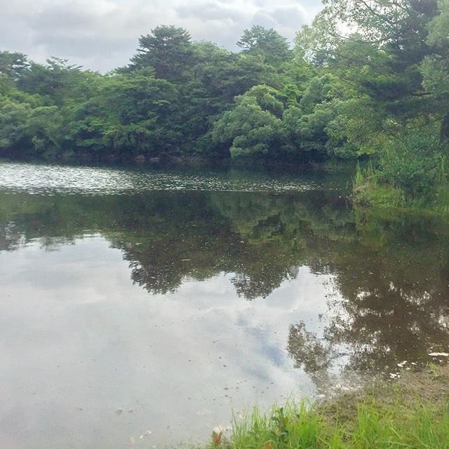 KEIJI OHHARA on Instagram: “裏磐梯の湖 / シャローエリア ♩ 朝一番はシャローでトップウォータープラッキング ♩ ボイルがエリア全体でありました ♩ #シャローエリア #ボイル #lurefishing #bassfishing #smallmouthbass #fenwick #福島県釣り遠征…” (90411)