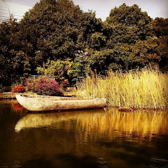 @norano7 on Instagram: “秋景色喧騒の日々彼方へ忘れ去り冬支度する立ち枯れの池#風景写真#風景#植物#ガマ#船#秋の風景” (91304)