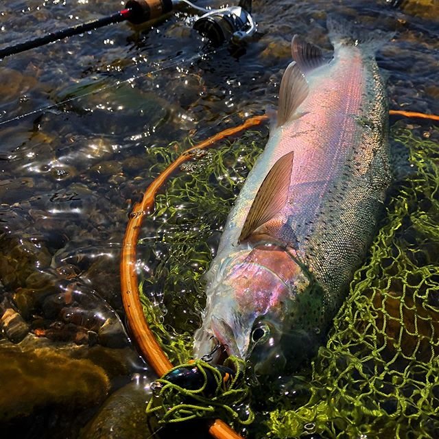 k.yuki on Instagram: “#福蝉#d3カスタムルアーズ#blakiston #bkt_706ml#fishing#lure#rainbowtrout#trout#ニジマス#北海道#支笏湖” (92873)