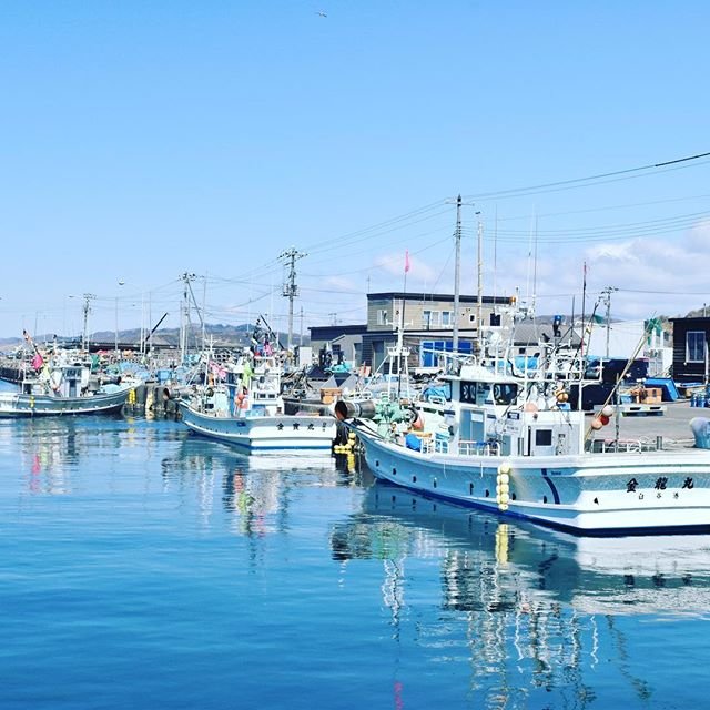 元祖タコ箱漁オーナーin2019 on Instagram: “漁師の船#臼谷漁港” (95972)