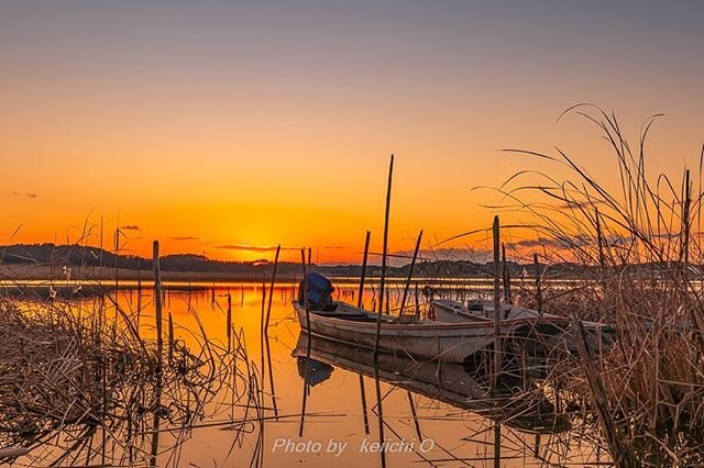 Kei  🇯🇵 on Instagram: “手賀沼　昨日の夕焼け🌇　 マジックアワー😆 📸1月2日 Sunset at Lake Teganuma 🇯🇵 🌇🌇🌇🌇🌇🌇🌇🌇🌇🌆🌆 #千葉県 #手賀沼 #photographerfocus  #東京カメラ部  #tokyocameraclub  #lovers_nippon…” (99569)