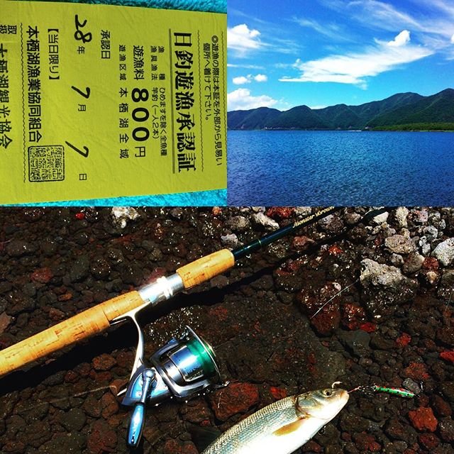 @genma_kanta on Instagram: “本日の釣果ウグイ、また行こうかな〜‼️#本栖湖釣り” (100521)