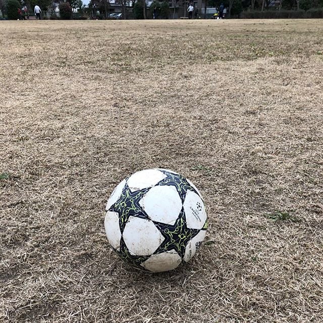 miya takehiro on Instagram: “本日は我が家と、近所の子供たちやそのお父さん、そして友人サッカー親子と、初蹴り！  サッカーを習ってる子も、そうでない子も、ボール１つあればみんなで出来るのだから、サッカーは改めてすごいスポーツだ。  子供たちには、サッカーの楽しさをたくさん感じてもらいたいなー…” (100666)