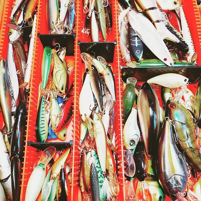 Hasegawa on Instagram: “釣り欲。#バス釣り#牛久沼#相模湖#合川ダム” (105654)