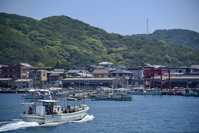 ❤️Maho❤️ on Instagram: “いつか、海の近くに住みたいなー。 #友ヶ島#和歌山#wakayama #ラピュタ#加太#加太港#船#igersjp#bestphoto_japan…” (106355)