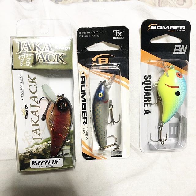 Dezhill on Instagram: “最近買うルアーが毎回霞ヶ浦仕様…ゆうても俺なりの仕様だけど。フィネスも練習しなきゃなぁ。#imakatsu #jakajack #bomberlures #13A #sqarea #bassfishing #土浦旧港 #霞ヶ浦” (106649)