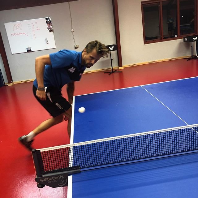 Michael Maze on Instagram: “Long hair don’t care 😇- fun at practice today 🤪😊 @butterflyttofficial 💪🏻🏓” (108391)