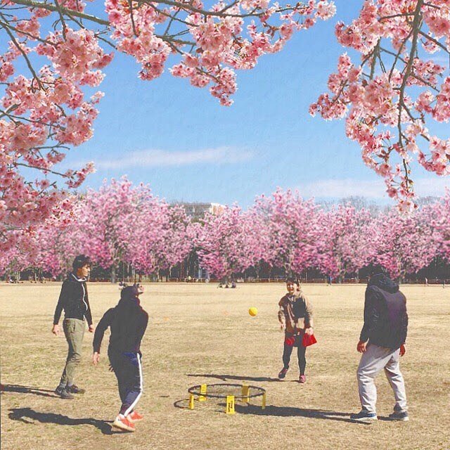 @spikeball.japan on Instagram: “surrounded by cherry blossoms on April  #spikeball #spiking #spiker #roundnet #sports #ball #park #holiday #japan #cherryblossom #followus…” (114024)