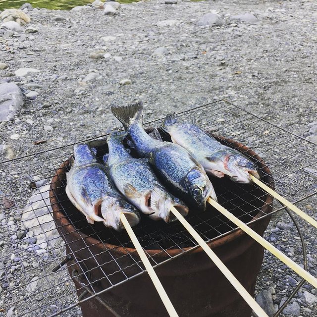 Yoichi Arakawa on Instagram: “奥多摩フィッシングセンターにて釣ったニジマスを食してます🐟#奥多摩フィッシングセンター” (117559)