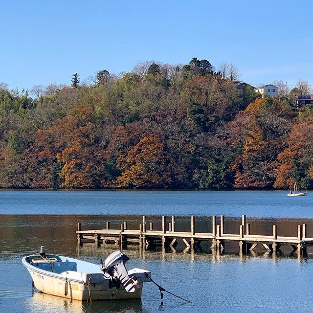kay on Instagram: “一碧湖。もっと早い時期なら紅葉が綺麗だったかなぁ。#一碧湖 #伊豆高原#静岡旅行#伊豆の観光スポット #紅葉には遅すぎた” (117843)