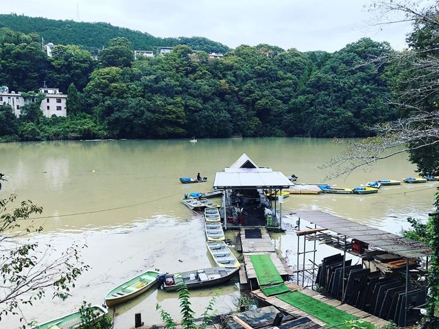 Nori on Instagram: “相模湖…難しかった。台風後でコンディションが悪かったという理由で許してください。#ブラックバス#相模湖#日相園#台風後は難しい” (120435)