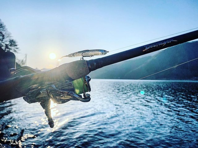 狩野 陽(Akira Kano) on Instagram: “表層ワカサギパターンに期待してましたが、まだまだベイトのレンジが深くなかなかシビアな西湖でした🙌 陸王ダービーは一旦延期となりましたが、また懲りずに練習しに来ます！ ・ ・ #Megabass #mymegabass #lurefishing #bassfishing…” (122617)