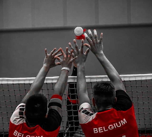 Indiaca Addicted on Instagram: “Great Belgian block being strong!💪🏼💪🏼💪🏼👏🏼 🇧🇪🇧🇪 Stay strong guys and look forward!☺️☺️ Check also our new Facebook series where we will be…” (131610)