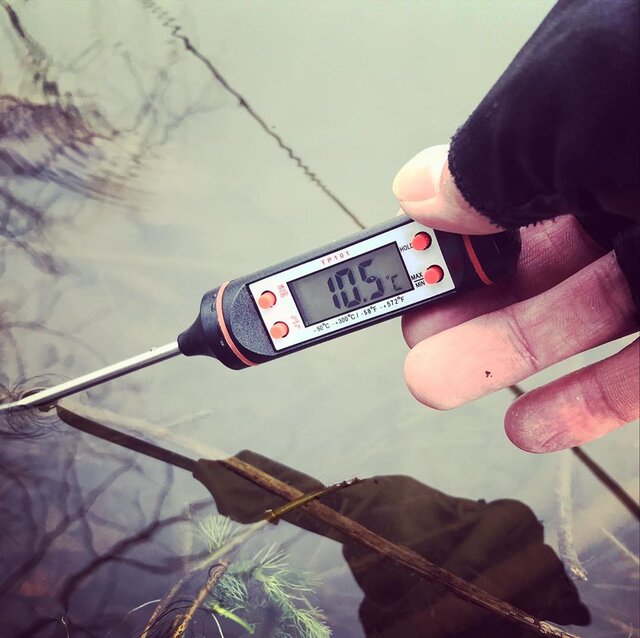 釣り神ども on Instagram: “2020/03/08 朝10時から減水野池1時間釣行。 （水深50㌢野池）  真冬の5℃に比べれば結構水温上がってきたね㊙️ 太陽が出てれば、13℃はいってたかも。㊙️…” (133616)
