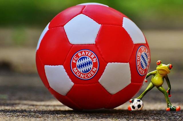 Free photo: Bayern Munich, Frog, Football Club - Free Image on Pixabay - 1349927 (4335)