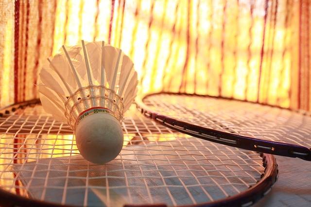 Free photo: Badminton, Game, Shuttlecock - Free Image on Pixabay - 166416 (5706)