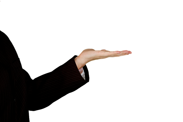 Free photo: Hand, The Hand, Gesture, Stick - Free Image on Pixabay - 427521 (5752)
