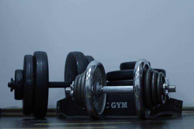 Free photo: Sport, Exercise, Gym, Dumbbell - Free Image on Pixabay - 1244925 (6309)