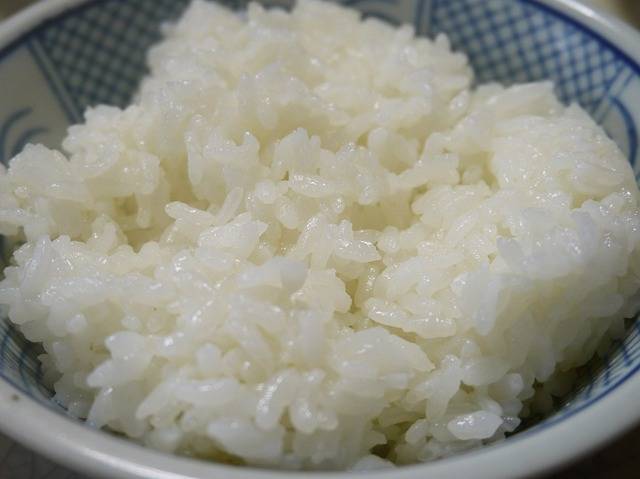 Free photo: Usd, Rice, Food, China Bowl - Free Image on Pixabay - 67411 (7868)