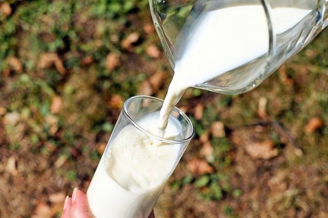 Free photo: Glass, Milk, White, Cow'S Milk - Free Image on Pixabay - 1587258 (9710)