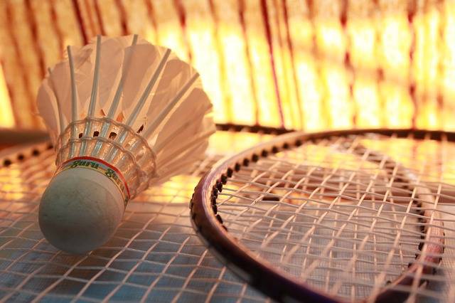 Free photo: Badminton, Shuttlecock, Sports - Free Image on Pixabay - 166405 (10802)