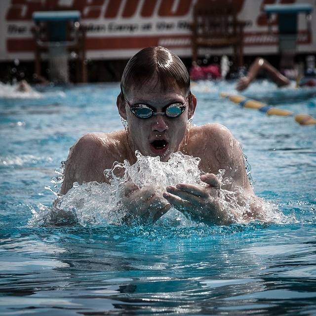 Free photo: Swimming, Pool, Swimmer - Free Image on Pixabay - 1272538 (12127)