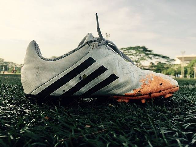 Free photo: Soccer, Shoe, Shoes, Boot, Football - Free Image on Pixabay - 2394121 (12310)