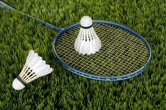 Free photo: Badminton, Shuttle, Sport, Bat - Free Image on Pixabay - 1428046 (13468)