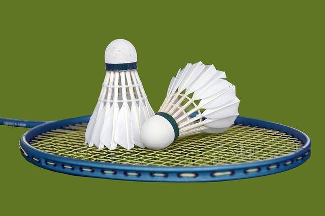 Free illustration: Shuttlecock, Racket, Badminton - Free Image on Pixabay - 2379720 (13507)